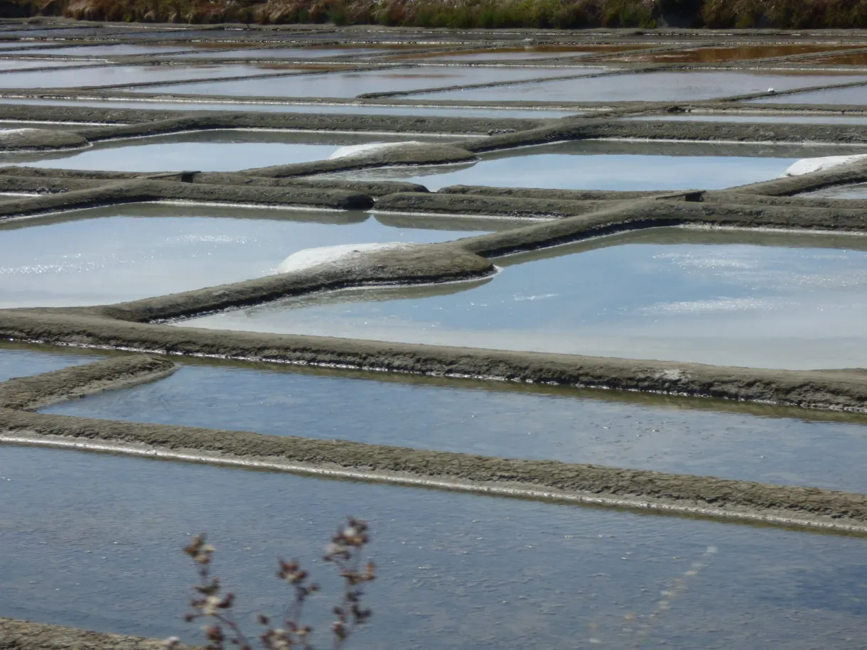 Chequerboard of clay basins filled with shimmering water