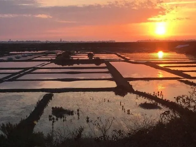 Orange setting sun reflected in the salt pans