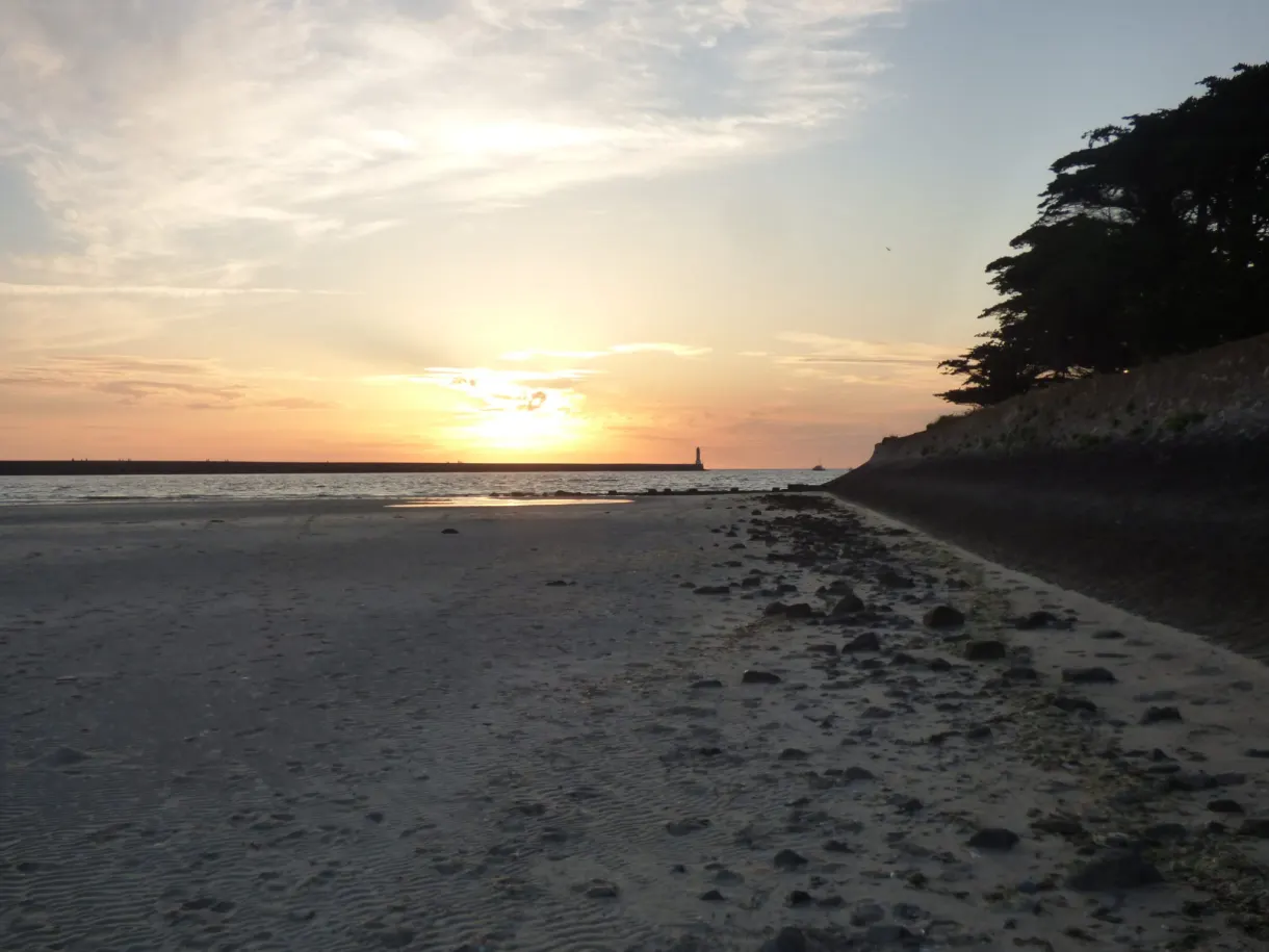 Low sun over the foreshore and dark silhouettes of the pines