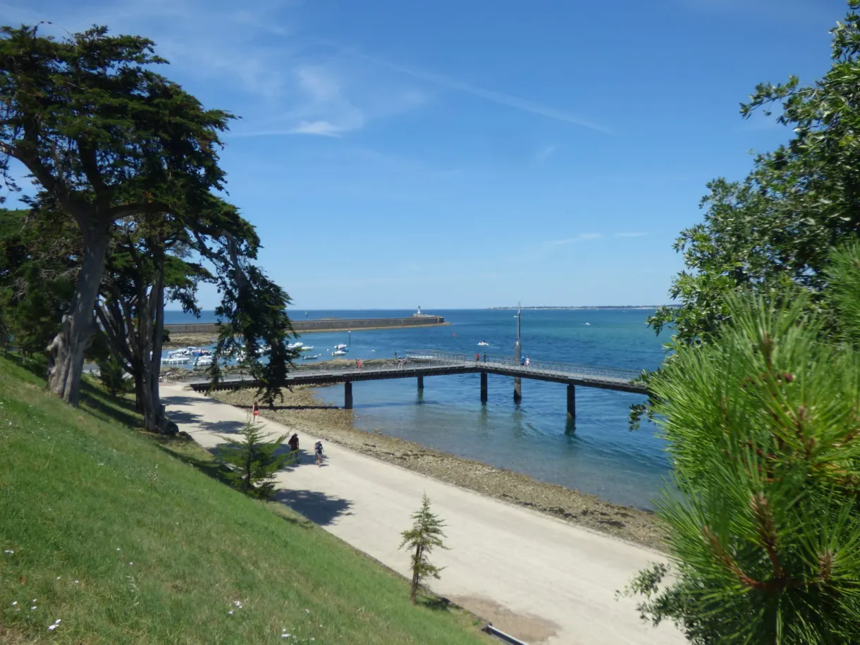 Wooden footbridge crossing the inlet between two clumps of pines