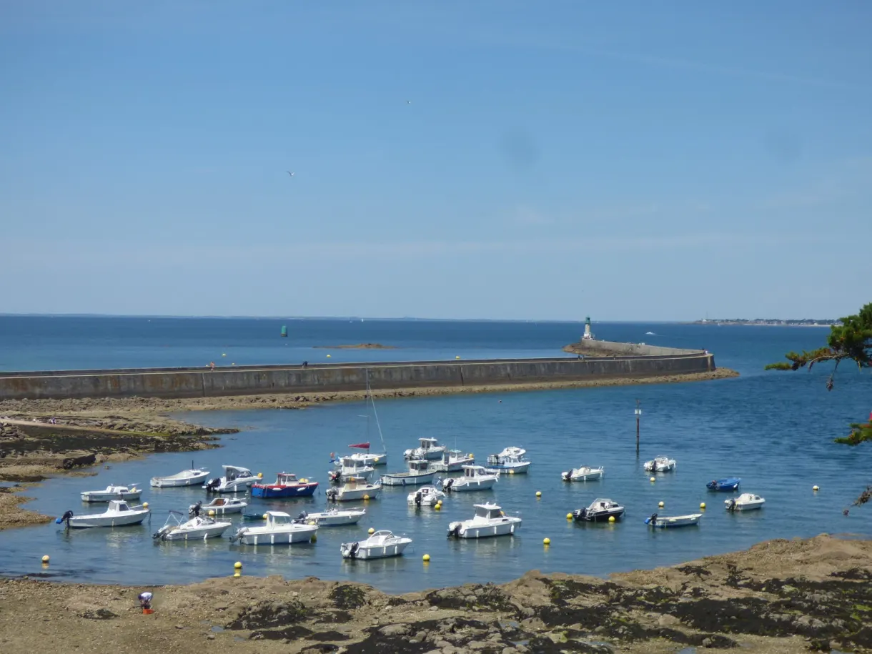 Boats at anchor in front of the long jetty of the harbour