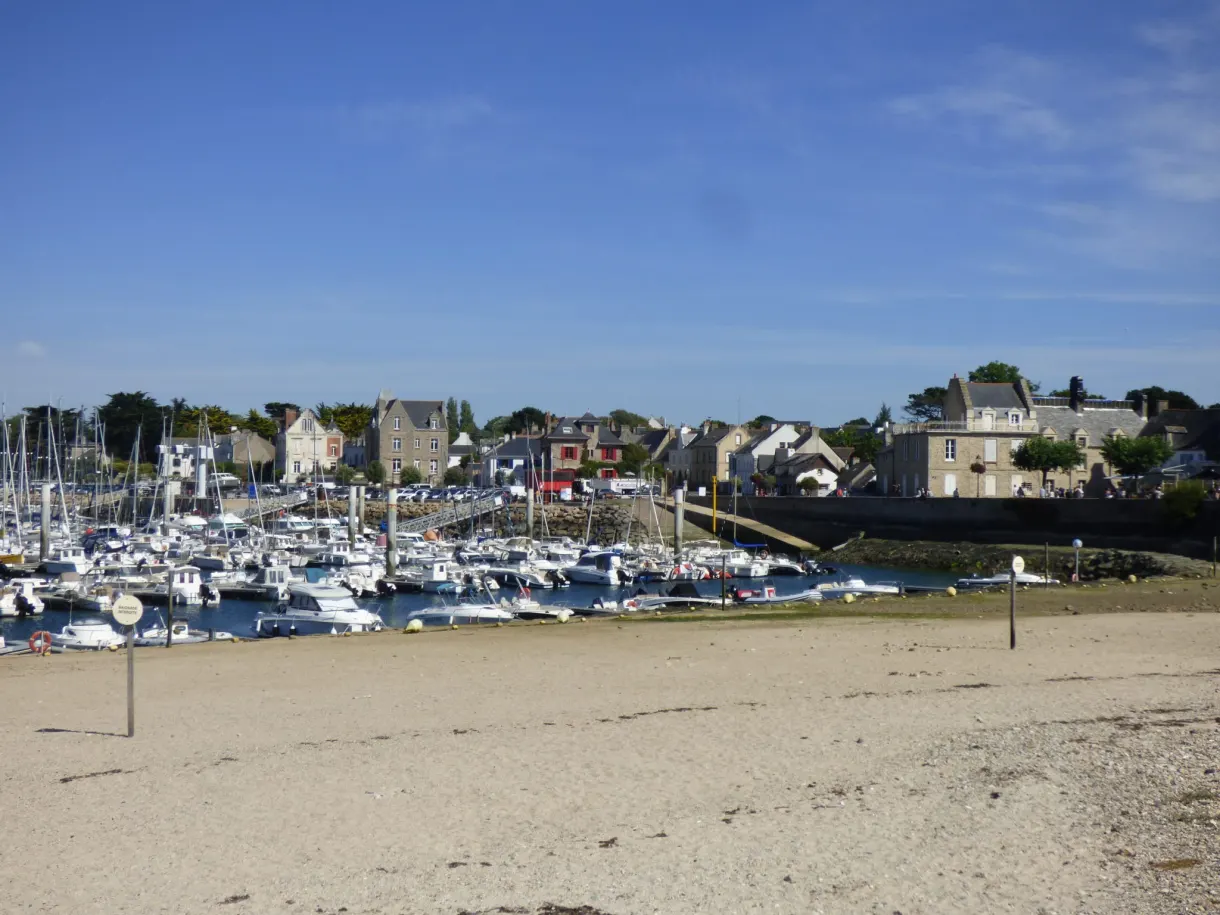 Deserted beach in front of the packed masts of the marina