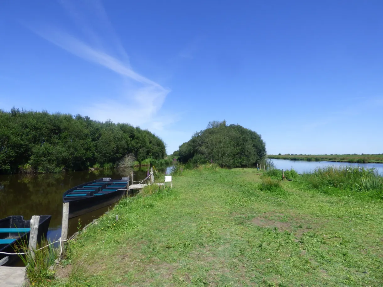 Green meadow and boats moored at the entrance to the marsh