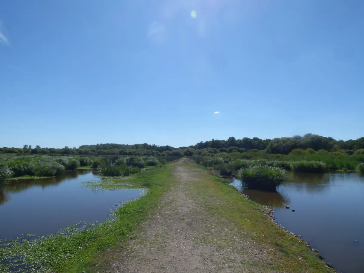 Dirt path running between two canals of the marsh