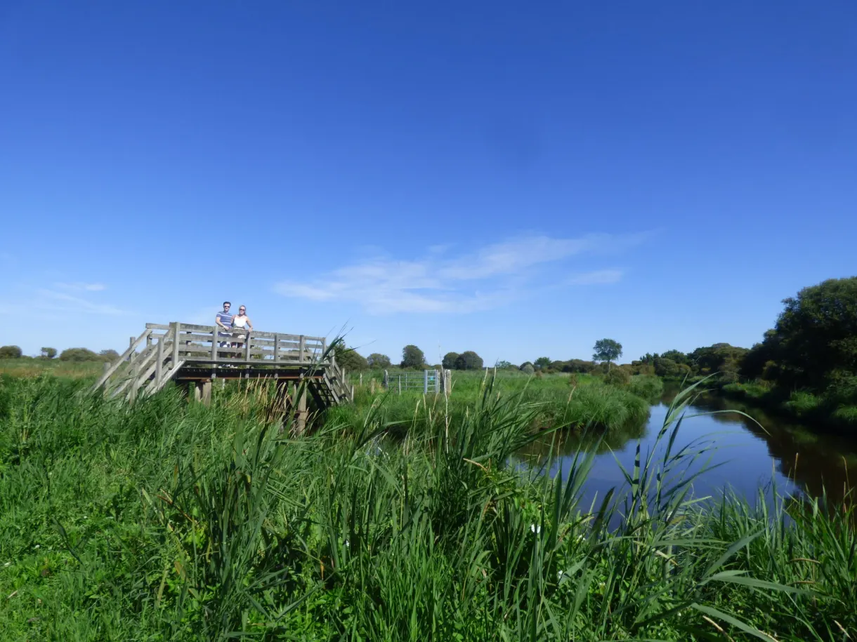 Wooden pontoon looking out over the reed beds of the marsh