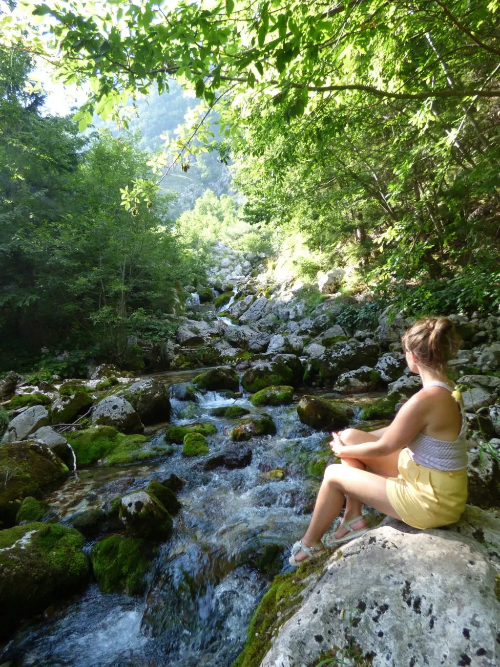 Sitting on a rock beside the torrent in the undergrowth