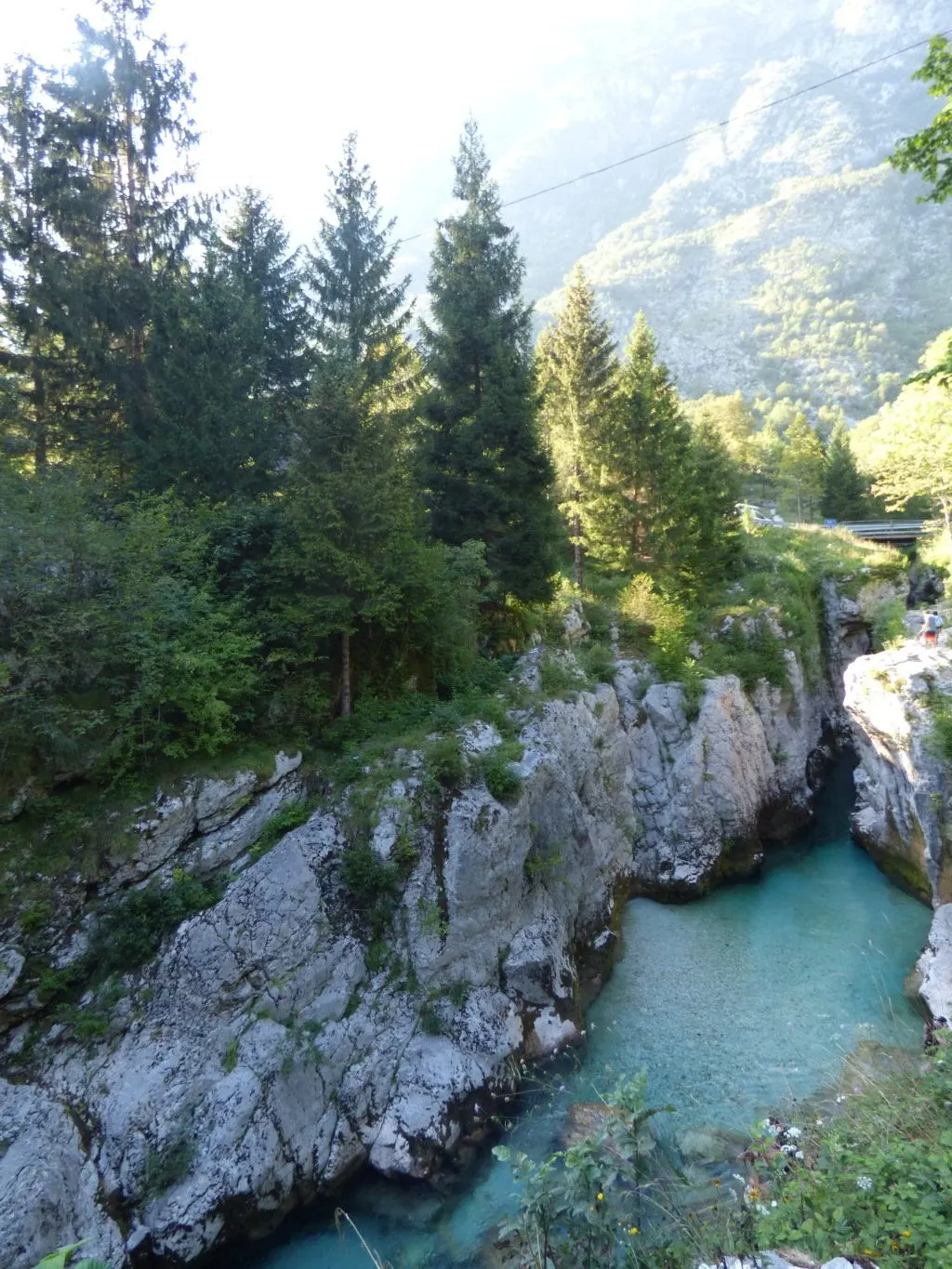 Deep canyon with turquoise water glimpsed between the fir trees