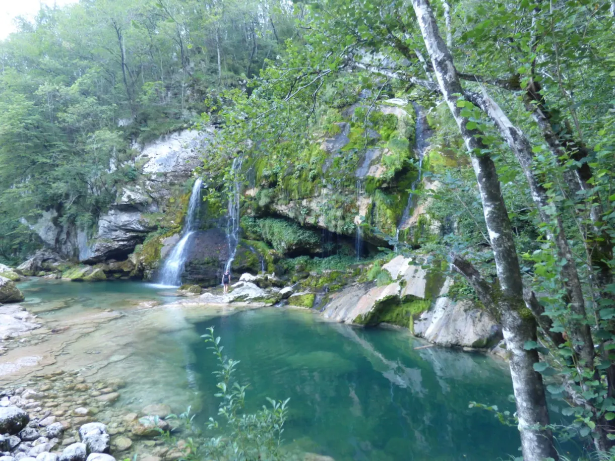 Waterfall dropping into an emerald green pool in the undergrowth