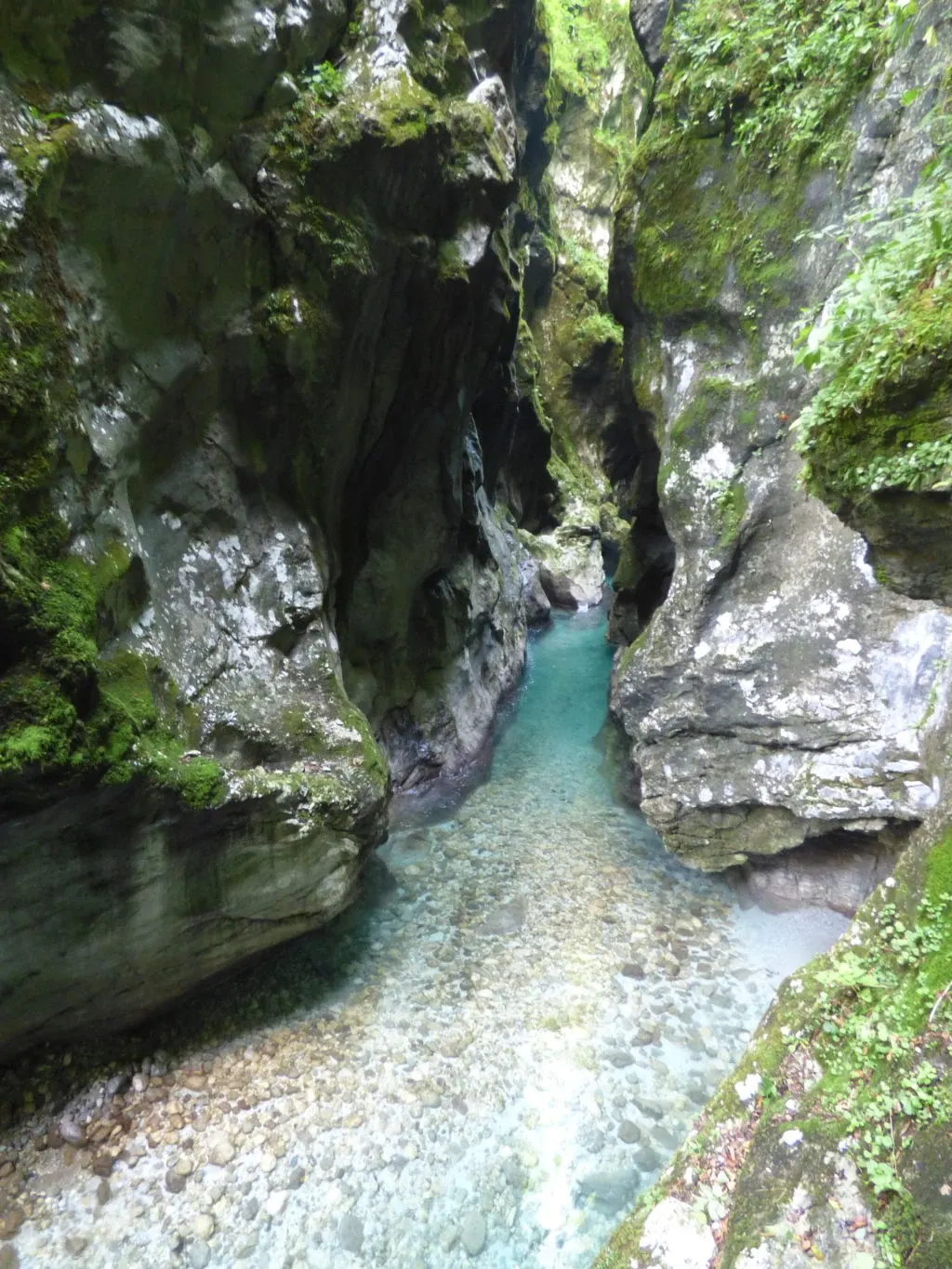 Moss-carpeted canyon opening onto the turquoise water