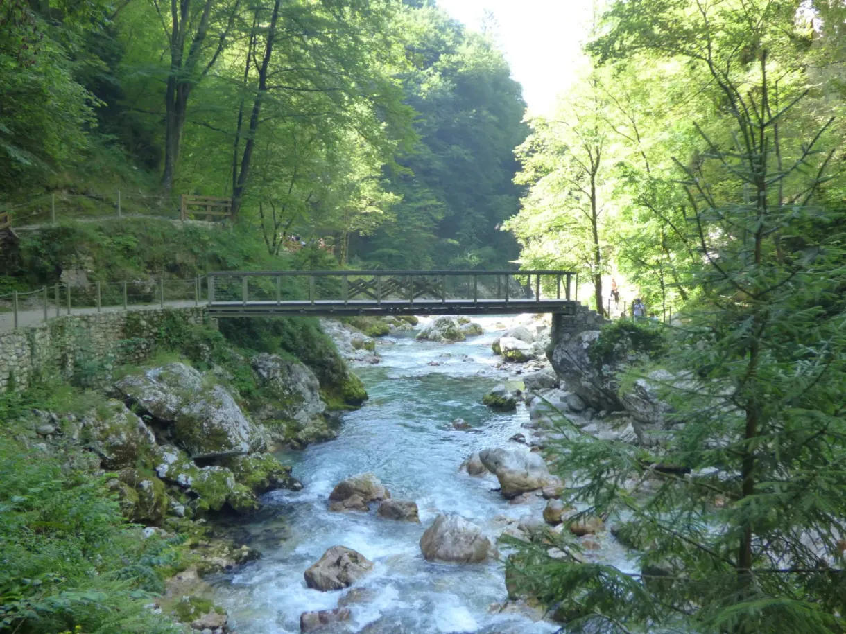 Metal footbridge above the torrent deep in the forest