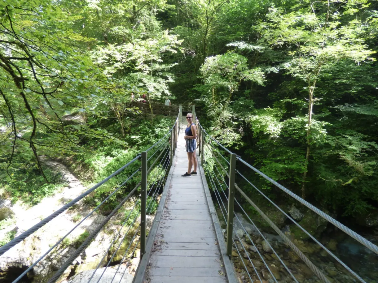 Figure in the middle of a suspension bridge lined with foliage
