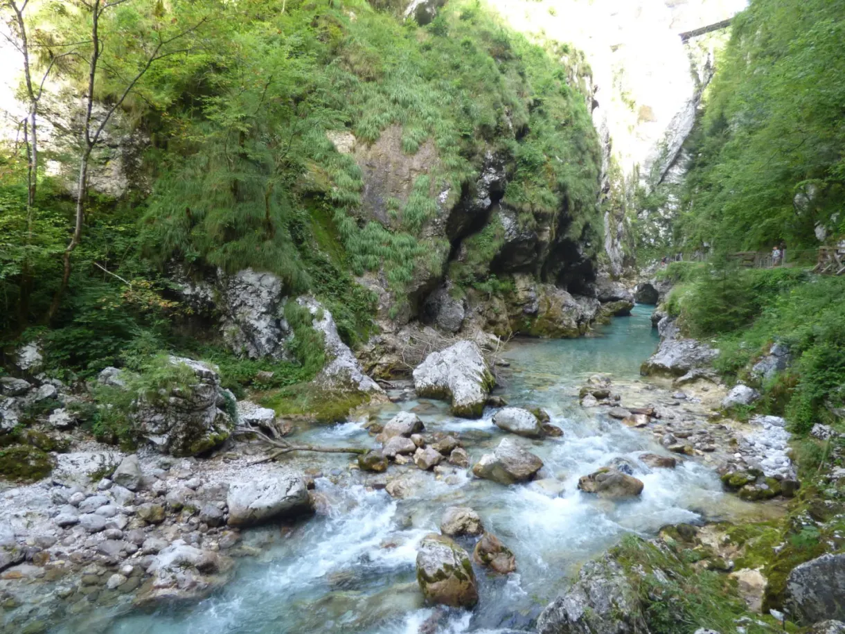 Mossy rocks and running water at the bottom of the Tolmin gorges