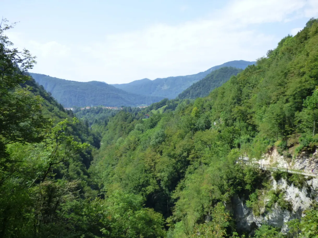 View over the wooded valley from the path