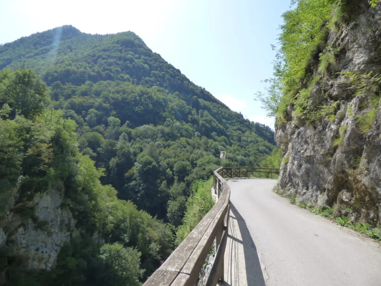 Narrow road cut into the cliff above the trees