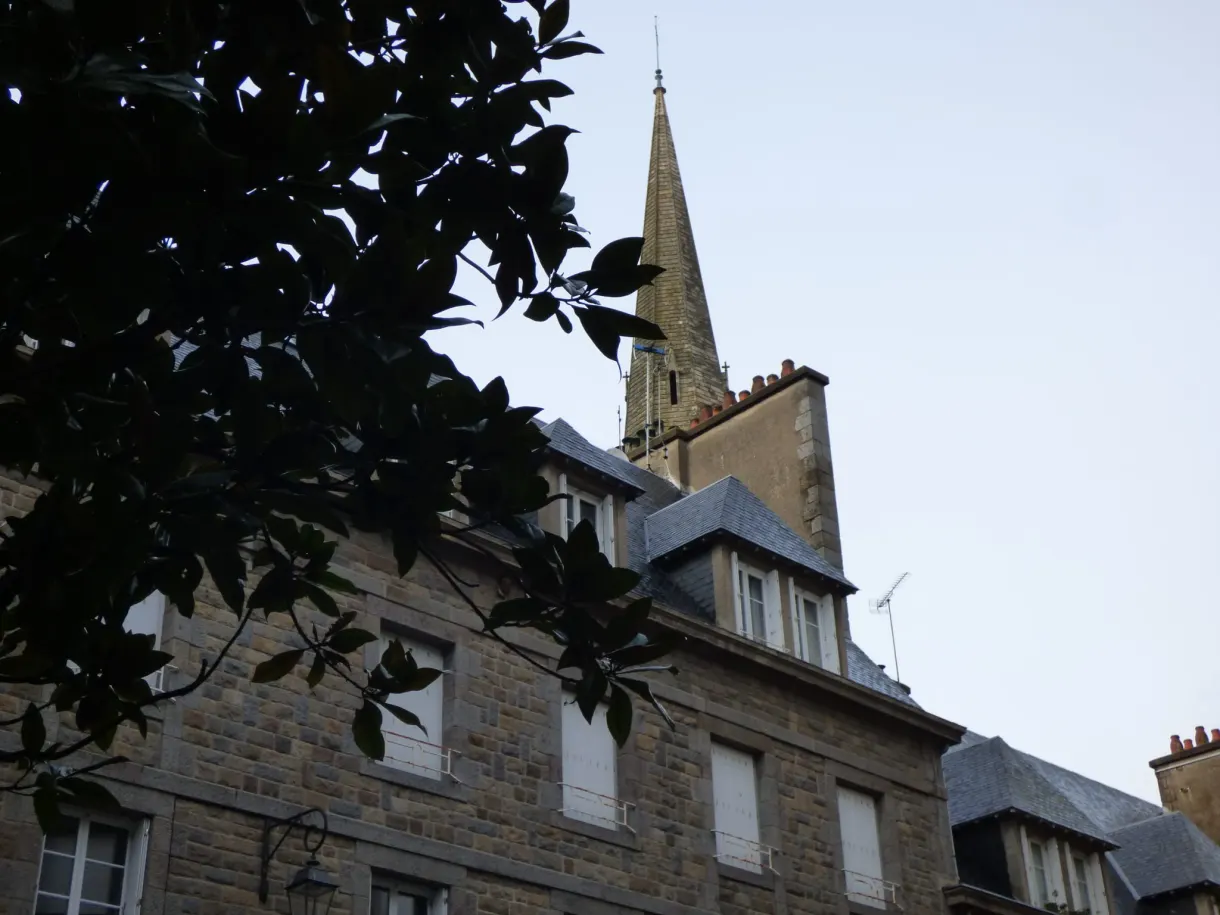 Clocher d'ardoise aperçu entre les branches sombres d'un arbre