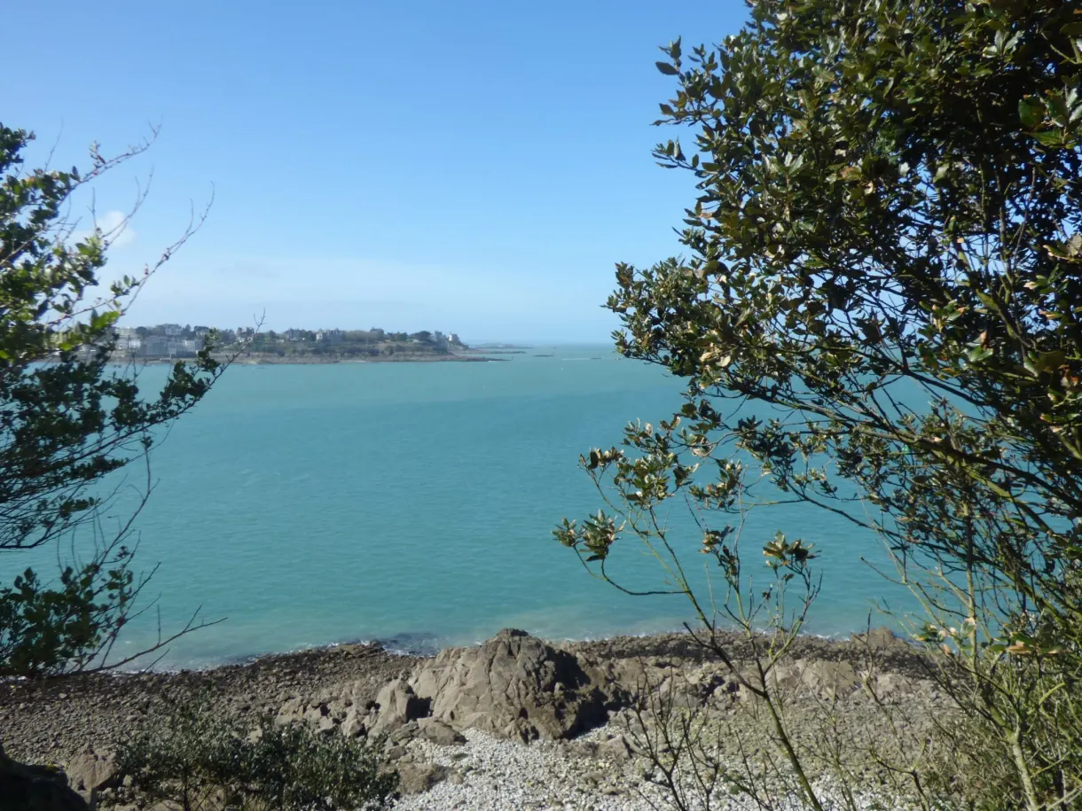 Mer turquoise et côte rocheuse encadrées par des branches