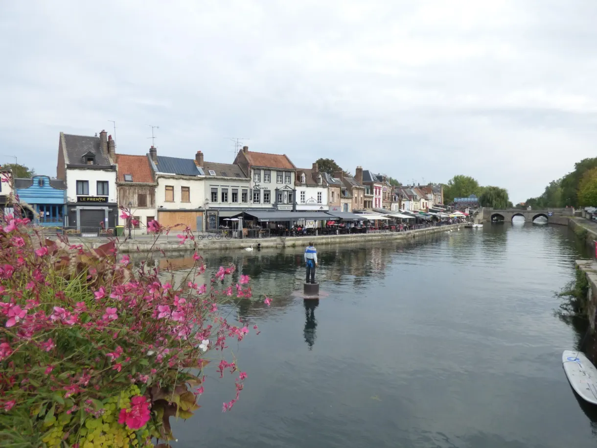 Canal lined with terraces and facades, pink flowers in the foreground
