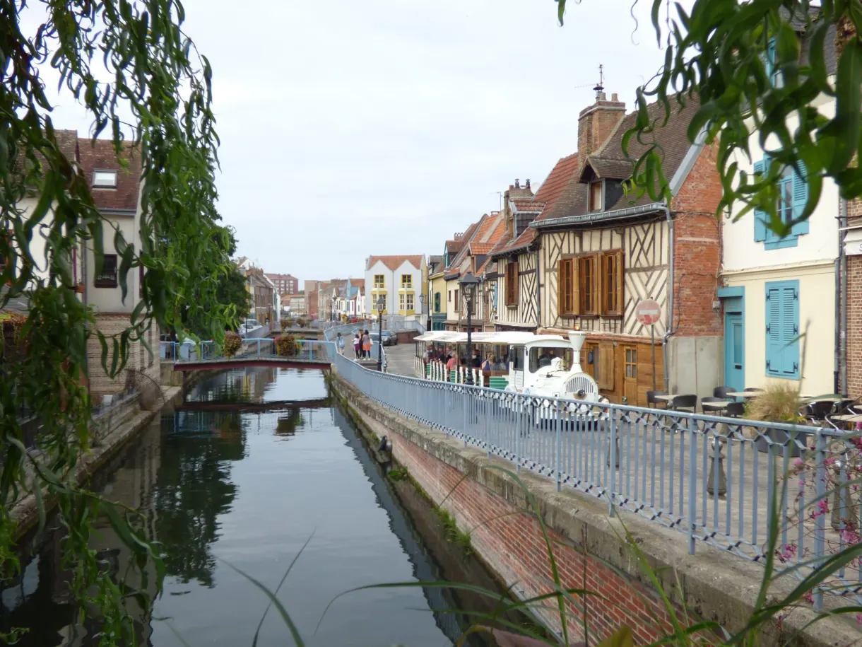 Narrow canal running along half timbered houses and a willow