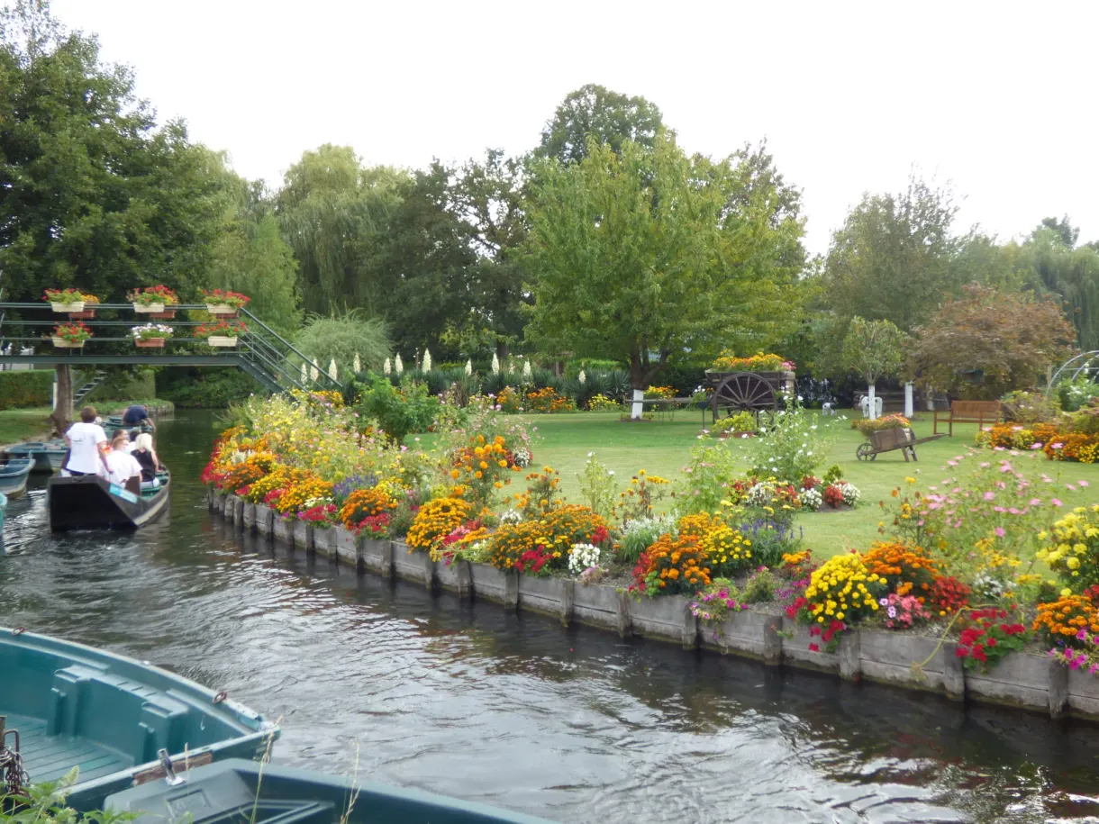 Visitors' boat passing a flowering plot of the hortillonnages
