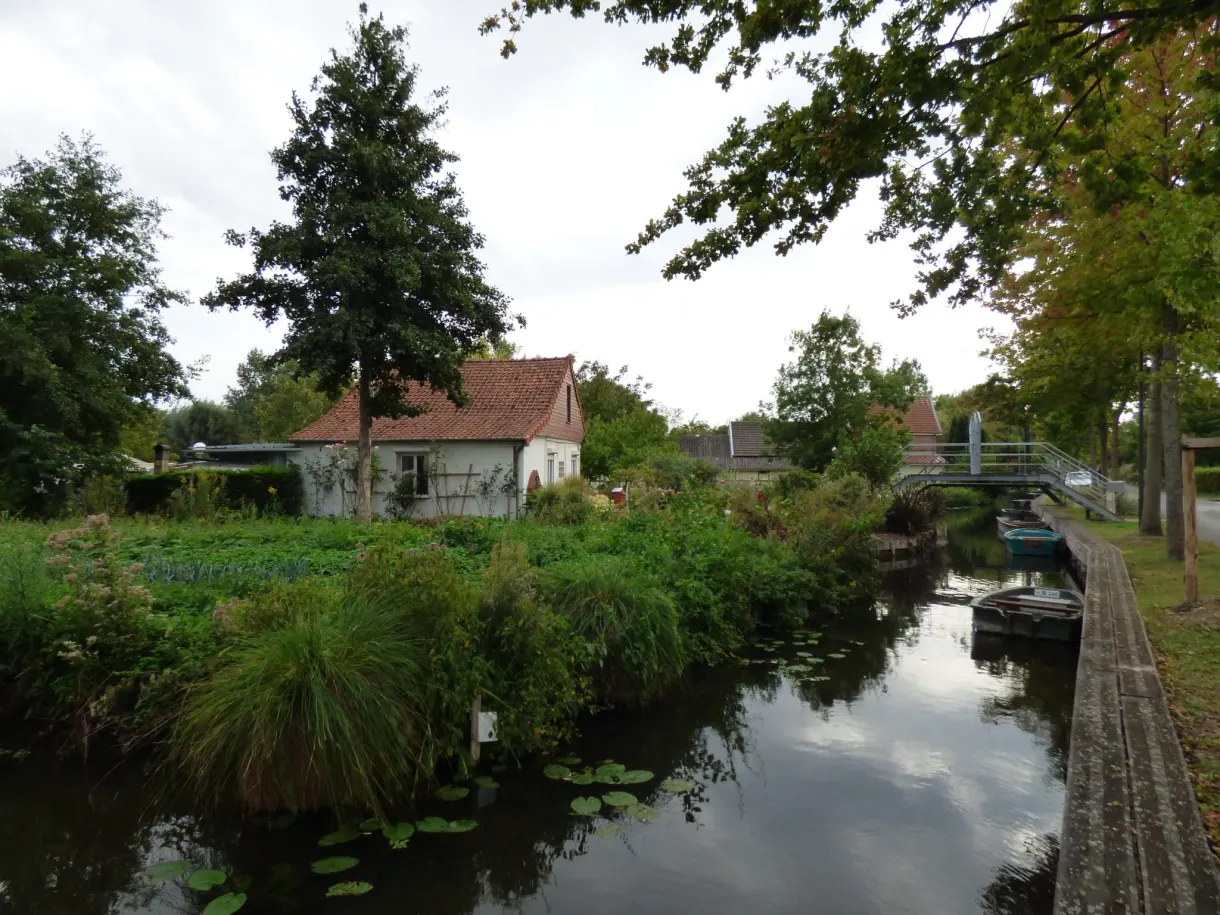 Garden hut and reed beds beside a canal of the hortillonnages