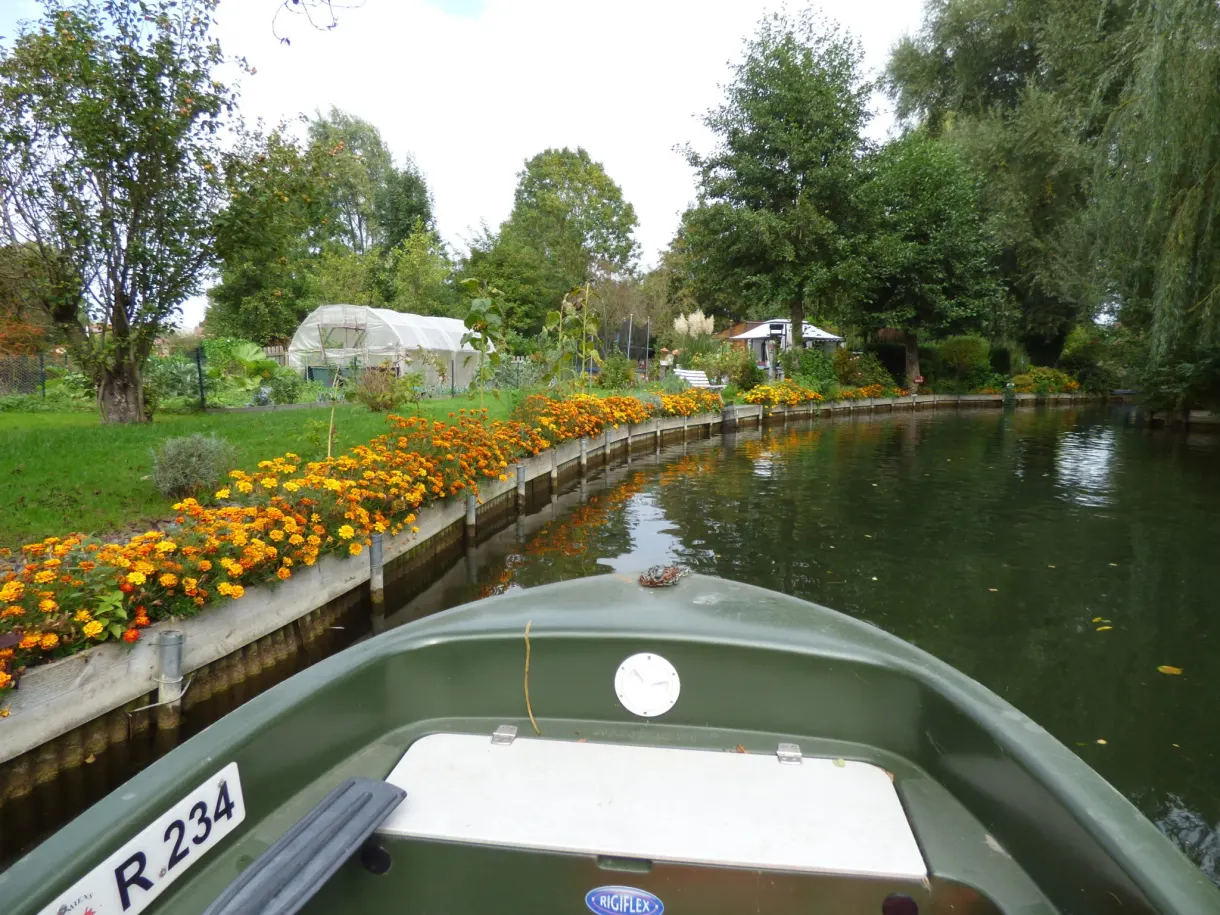 Bow of the boat gliding between the beds of marigolds