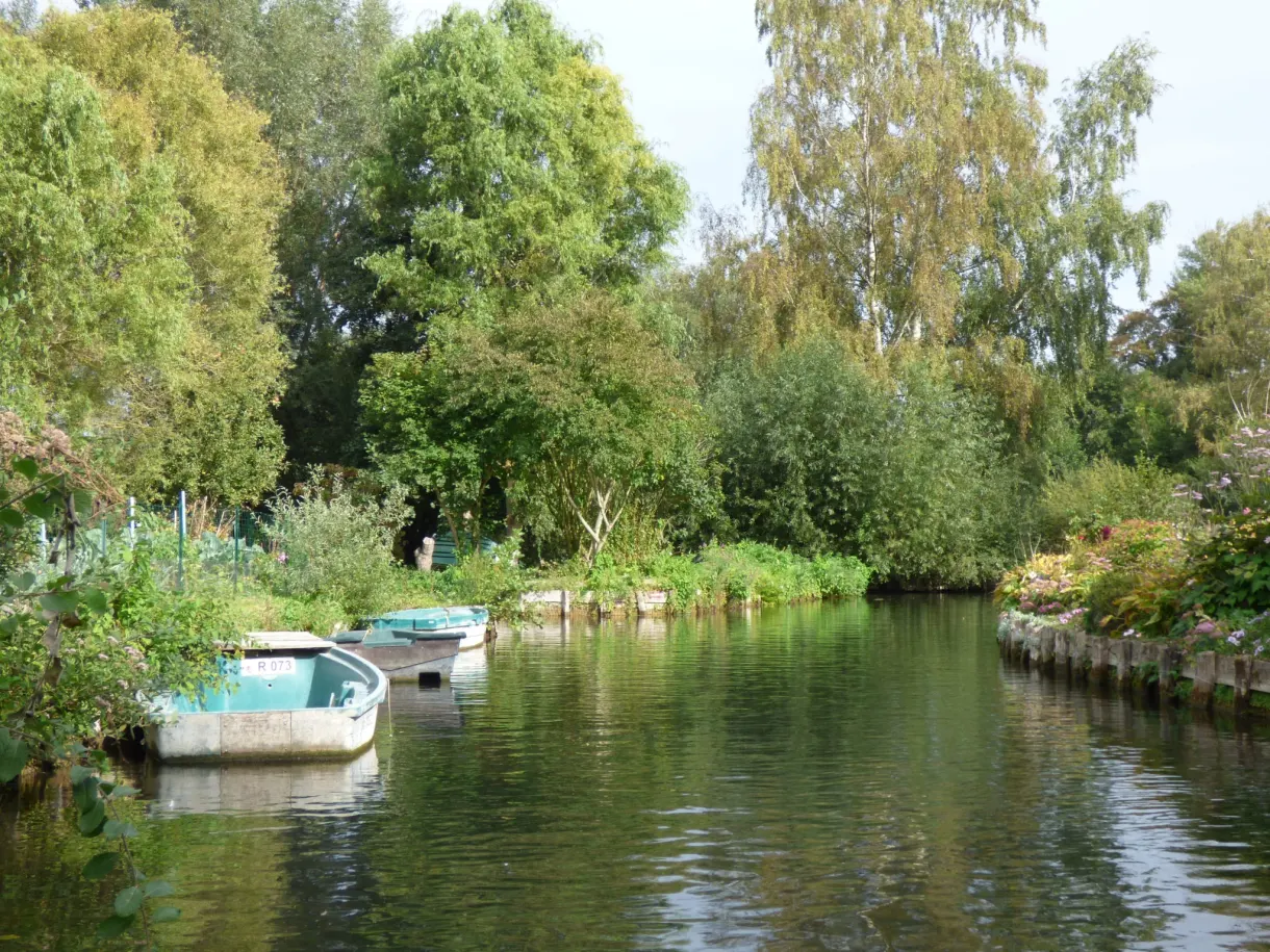 Blue boat moored at the foot of a cultivated plot
