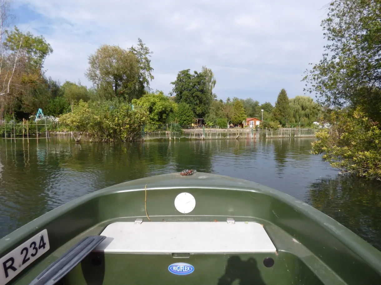 Green bow cutting through the water of a tree lined canal