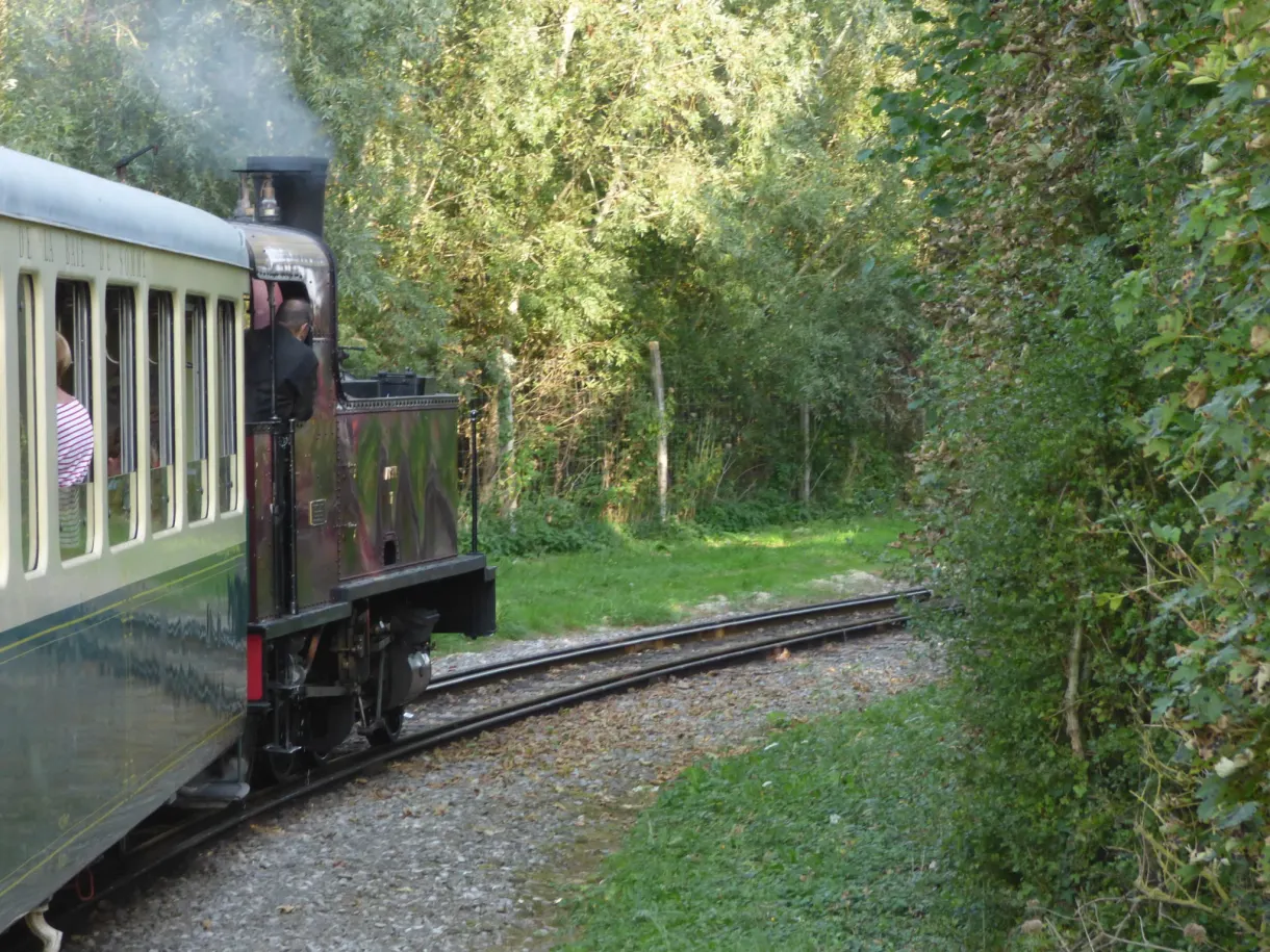 Steam train taking a curve along a hedgerow