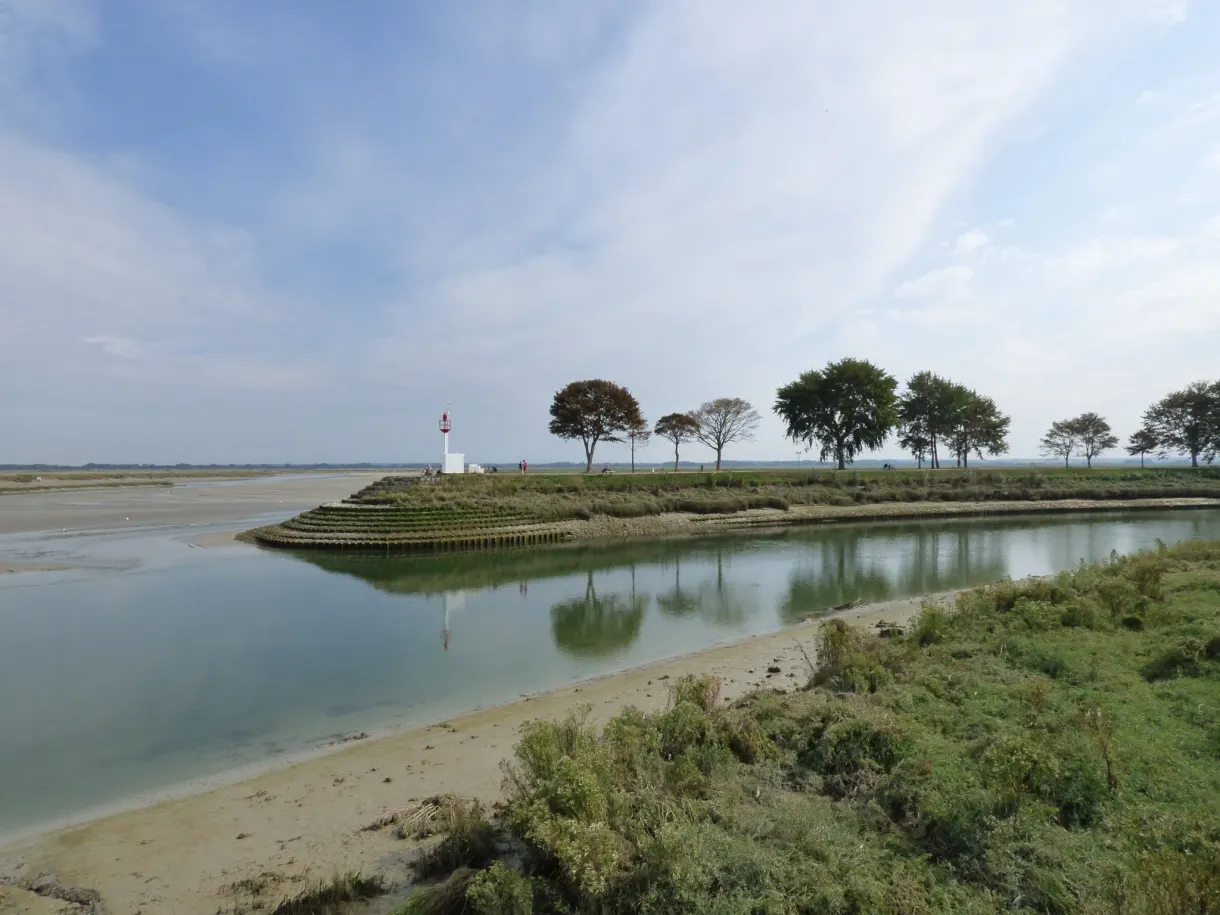 Small white lighthouse and screen of trees beside the channel