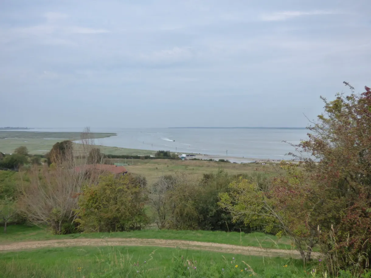 Lawn and trees overlooking the bay at low tide