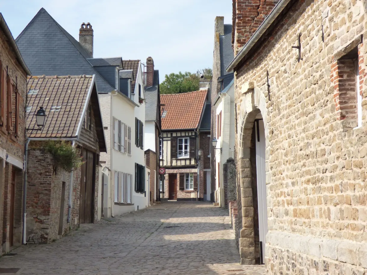 Sloping cobbled street lined with brick and half timbered houses