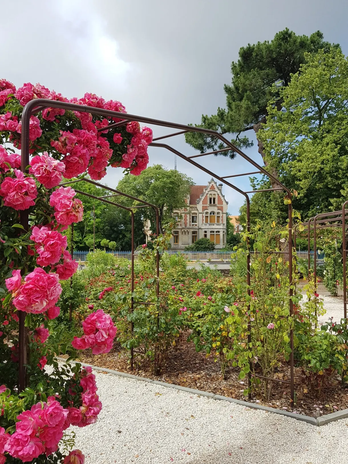 Rose garden in bloom in front of a villa in the Ville d'Hiver
