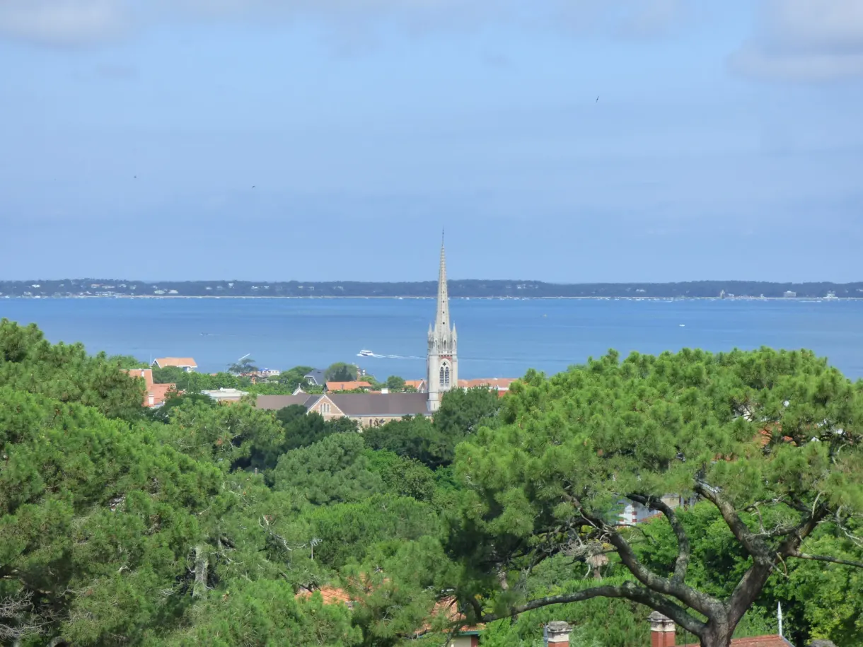 Bell tower and umbrella pines overlooking the basin