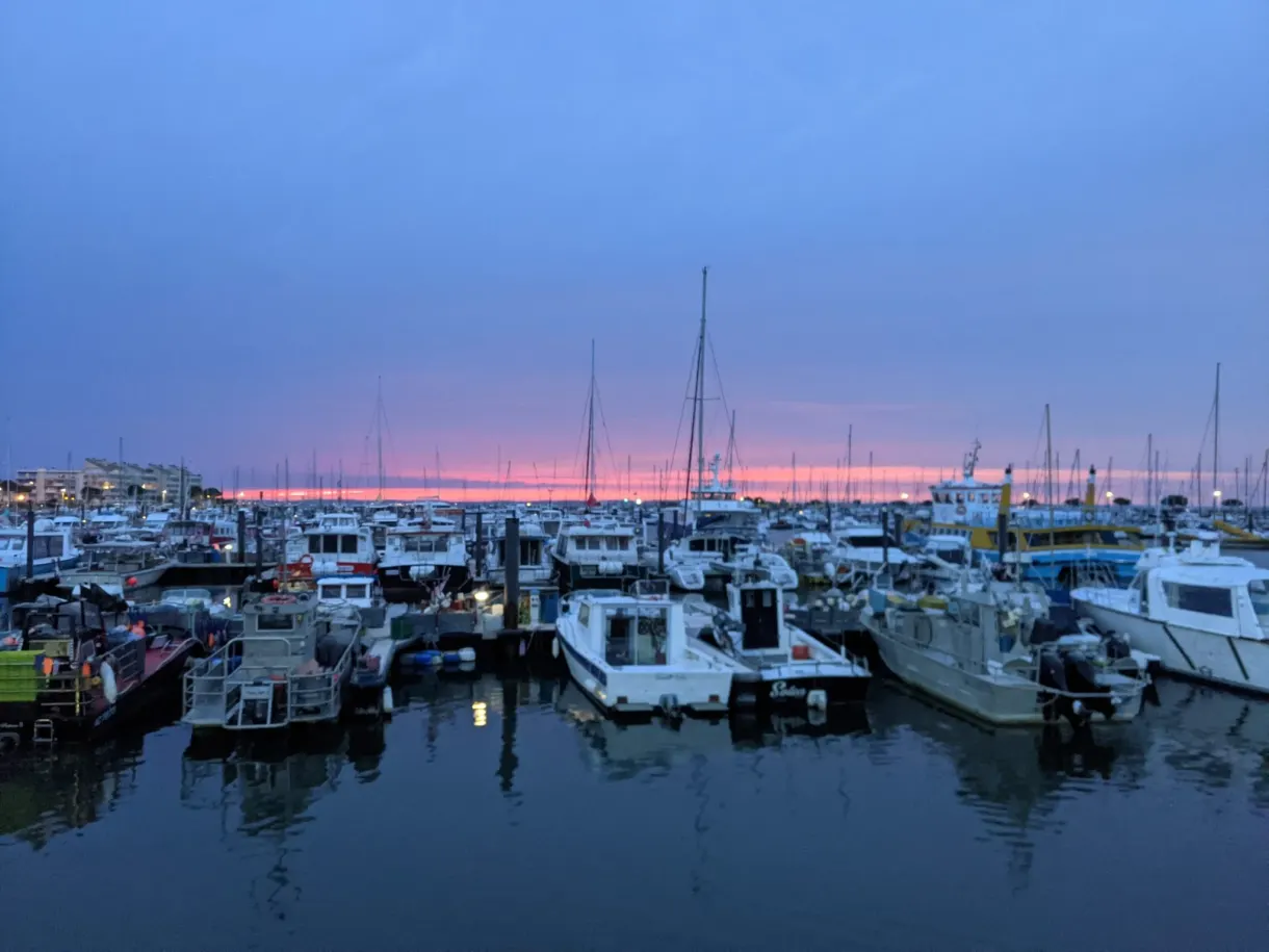 Marina and forest of masts at sunset