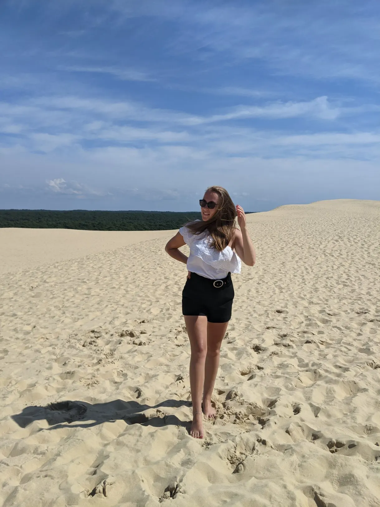 On the sand of the dune, pine forest down below