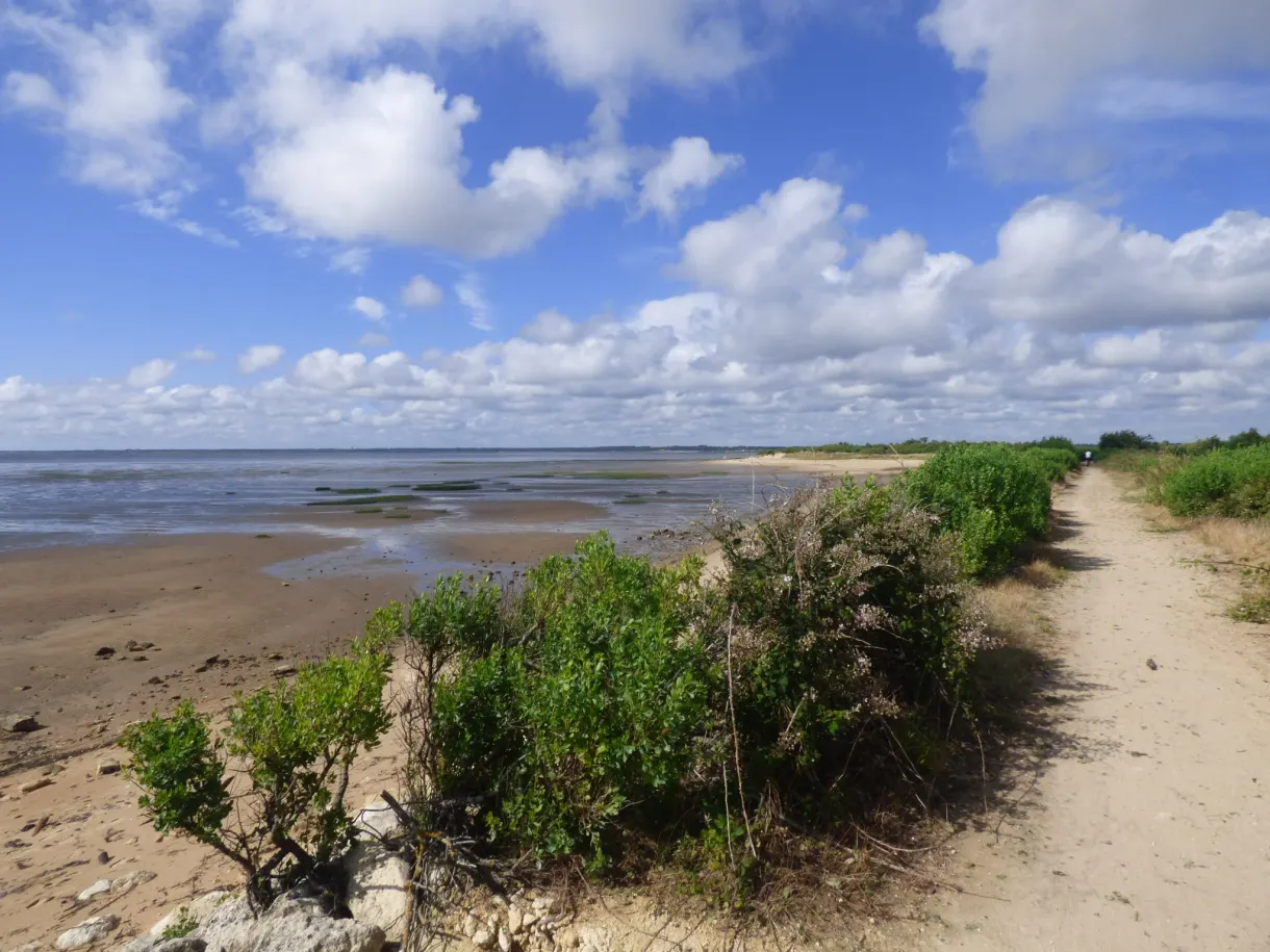 Sandy path running along the exposed foreshore