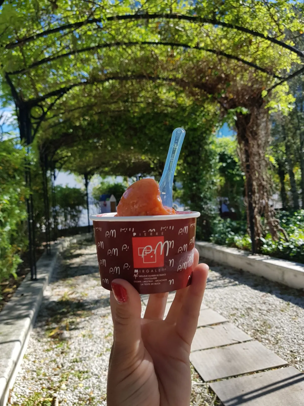 Ice cream in hand beneath a leafy pergola