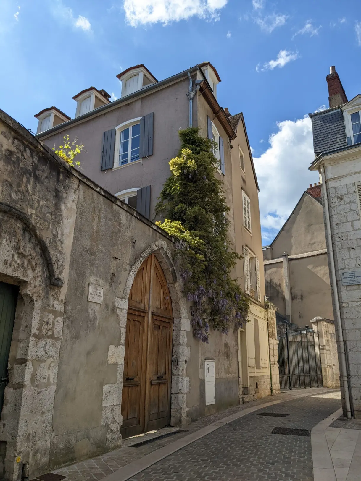 Porte de bois cintrée dans un vieux mur de pierre couvert de lierre
