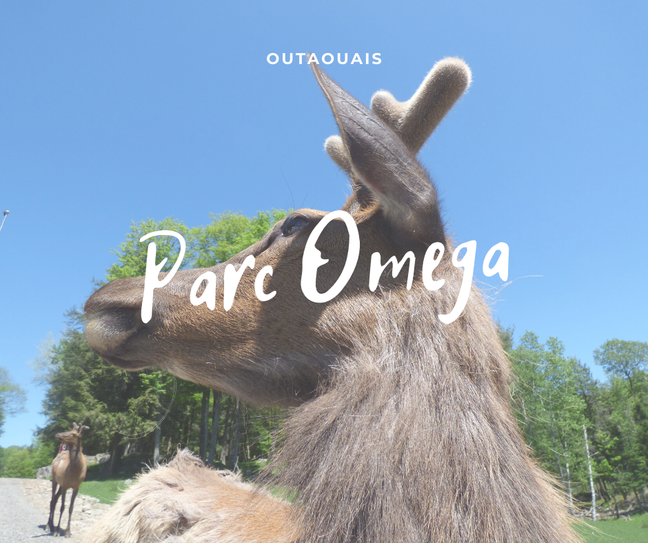 parc omega