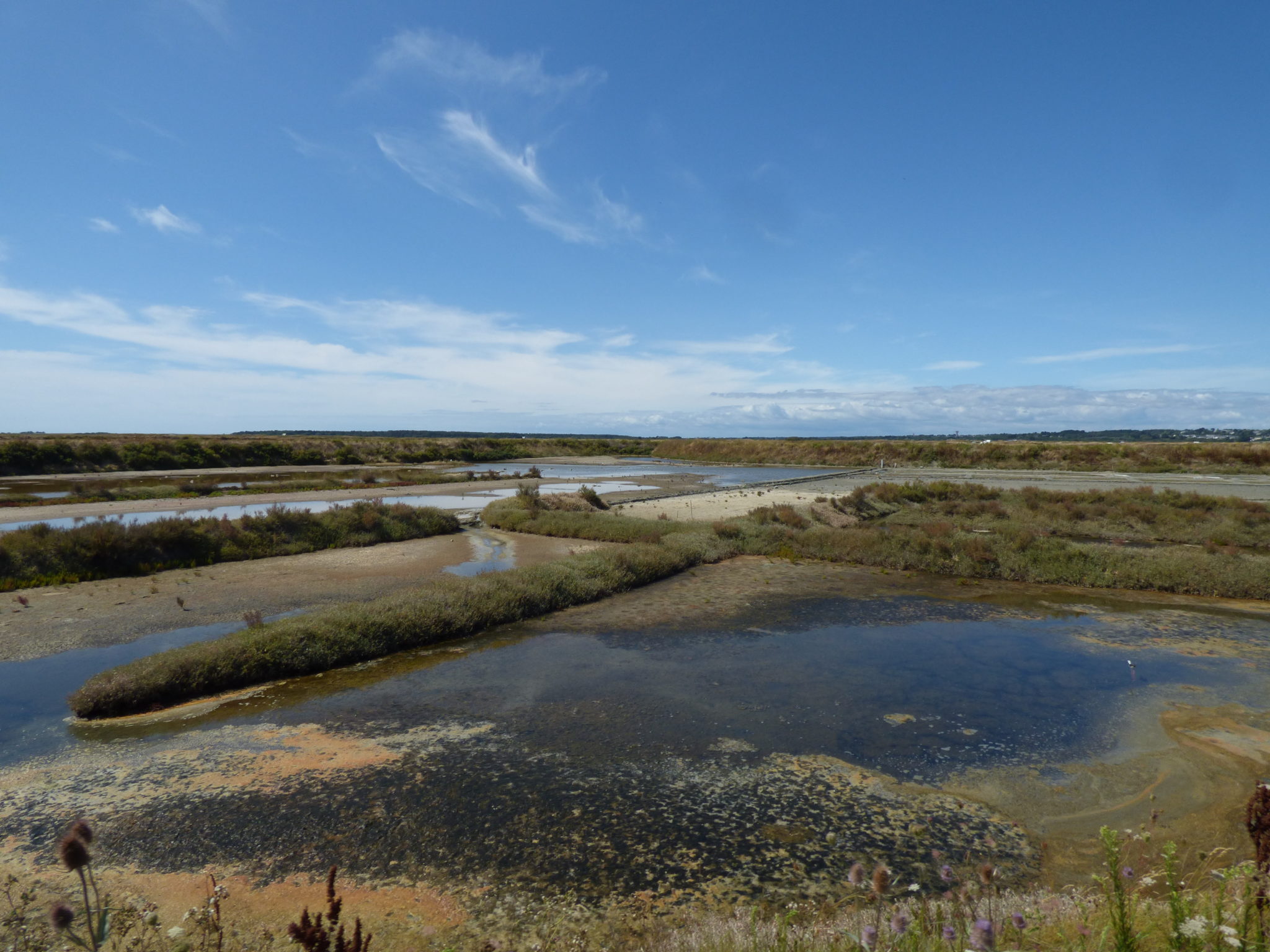 La presqu'île de Guérande et la Brière By Yann Février